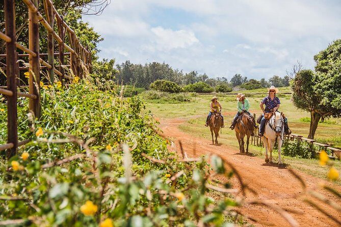 Horseback Ride Like an Authentic Paniolo in Kahuku - Key Highlights I’d Plan Around