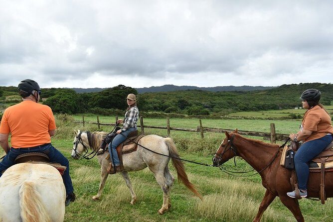 Horseback Ride Like an Authentic Paniolo in Kahuku - Gunstock Ranch: Why This Ride Feels Like Real North Shore Hawaii