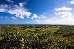 Horseback Ride Like an Authentic Paniolo in Kahuku - Getting Ready: Helmets, Rules, and What You’ll Actually Wear