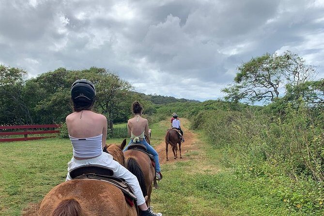 Horseback Ride Like an Authentic Paniolo in Kahuku - Group Size: Why Max 12 Changes the Whole Feel