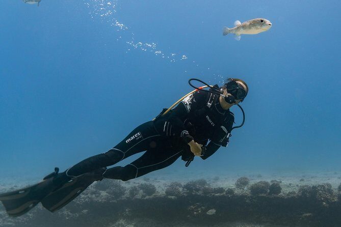 Incredibly Fun Coral Reef Giant Sea Turtles 4hour Boat Scuba Tour - Price and what you’re really paying for ($299 for 4 hours)