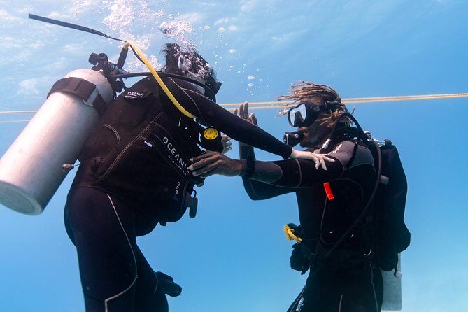 Incredibly Fun Coral Reef Giant Sea Turtles 4hour Boat Scuba Tour - Giant sea turtles and the rest of the reef crew