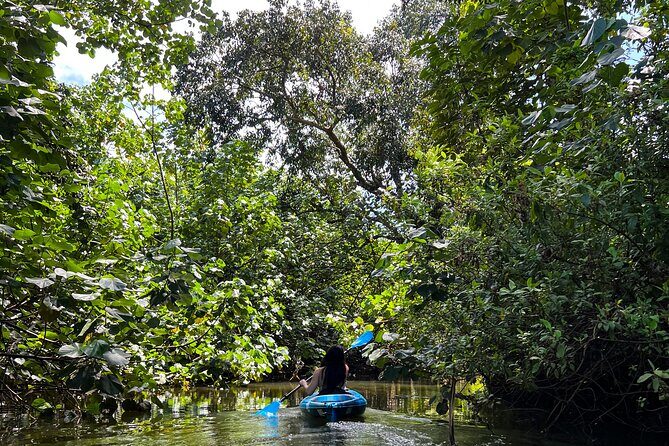Kahana Bay River to Ocean: Kayak and Stand Up Paddle Board Rental - Entering From the Kahana River Dock on Oahu