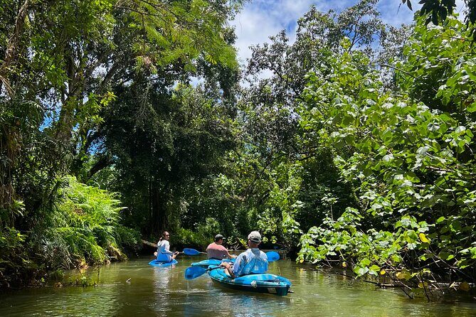 Kahana Bay River to Ocean: Kayak and Stand Up Paddle Board Rental - Should You Book This Kahana Bay Kayak and SUP Rental?