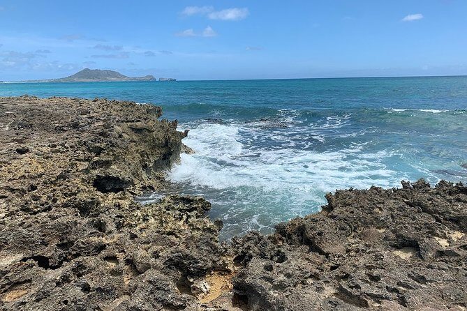 Kailua 2-Hour Guided Kayaking Excursion, Oahu - Wildlife spotting: sea turtles, birds, and what to do when you see something