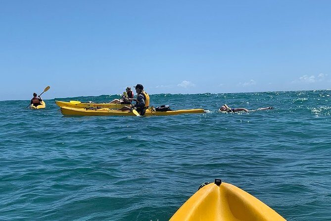 Kailua 2-Hour Guided Kayaking Excursion, Oahu - Who this tour fits best (and who should think twice)