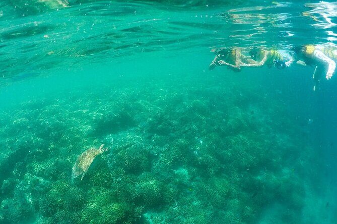 Kaneohe Sandbar Snorkeling Tour - 1st Tour - Stop at Kaneohe Bay Sandbar: relaxation, shoreline toys, and turtle watch