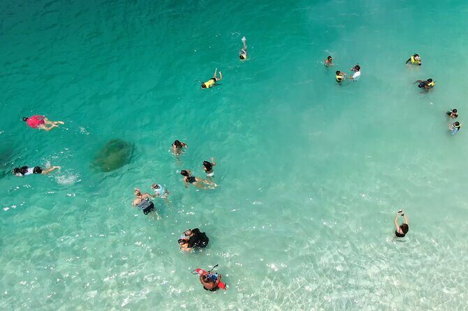 Kaneohe Sandbar Snorkeling Tour - 1st Tour - Snorkeling the lagoon reef: great for first-timers, watch for crowding