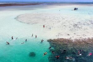 Kaneohe Sandbar Snorkeling Tour - 2nd Tour - Getting to Heʻeia Kea Boat Harbor without wasting your afternoon
