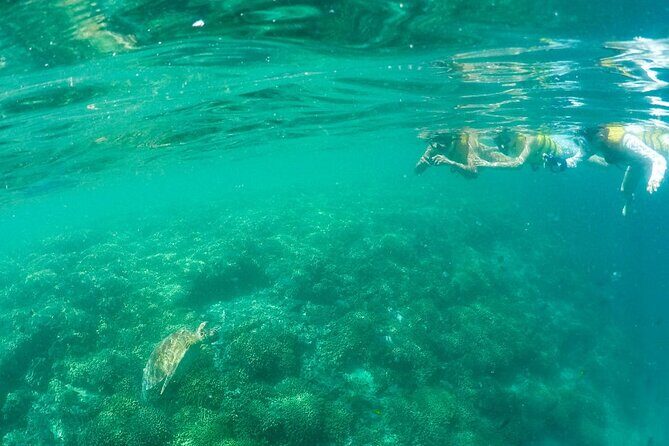 Kaneohe Sandbar Snorkeling Tour - 2nd Tour - What’s included (and what that means for your budget)