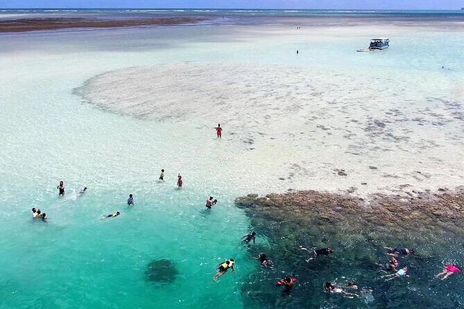 Kaneohe Sandbar Snorkeling Tour - 2nd Tour - Getting to Heʻeia Kea Boat Harbor without wasting your afternoon