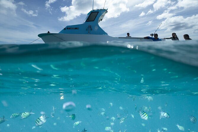 Kayak, Snorkel, and Surf with Turtles in Honolulu - Waikiki’s start: kayak or SUP over coral reef