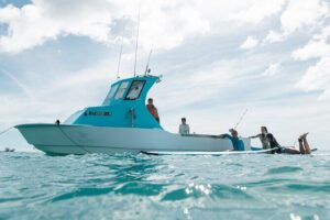 Kayak, Snorkel, and Surf with Turtles in Honolulu - Turtle Canyon snorkeling: green sea turtles and reef fish time