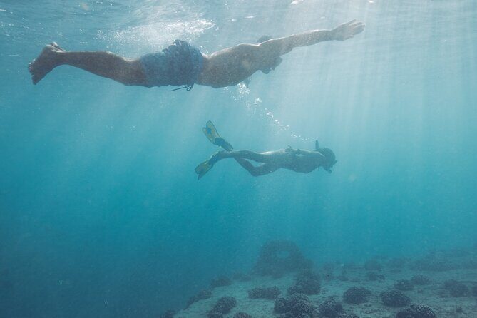 Kayak, Snorkel, and Surf with Turtles in Honolulu - The small-group setup and hotel pickup that make it feel personal