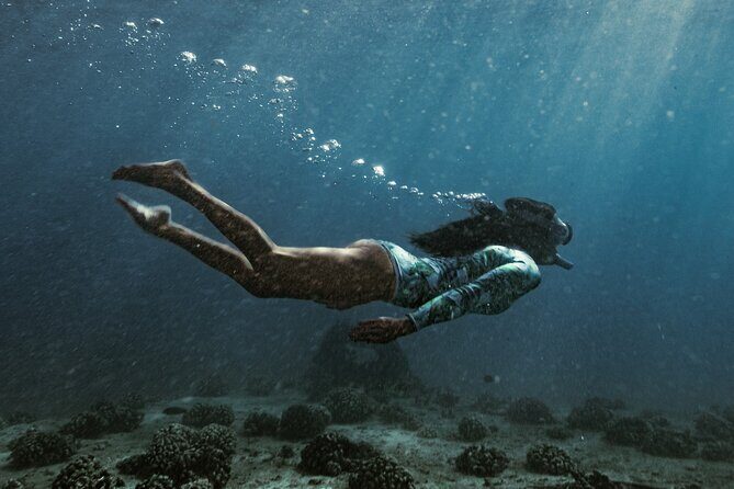 Kayak, Snorkel, and Surf with Turtles in Honolulu - Who this tour fits best (and who might want a different format)