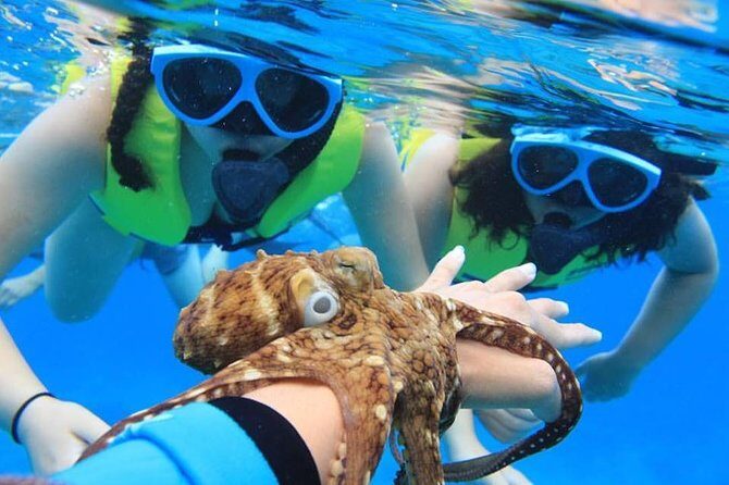Ko Olina Catamaran Sail and Snorkel with Lunch - Ko Olina Marina check-in: simple, low-stress, and quick