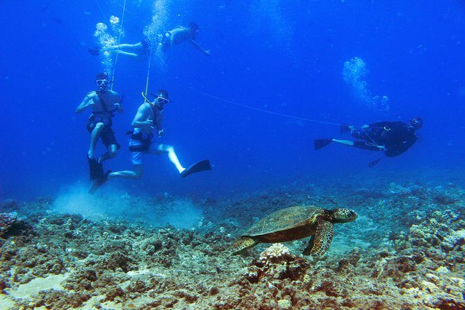 Ko Olina Catamaran Sail and Snorkel with Lunch - Snorkeling setup that removes the friction