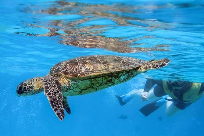 Ko Olina Catamaran Sail and Snorkel with Lunch - What matters for value: $195 and what you get for it
