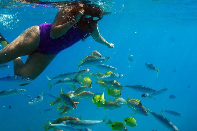 Ko Olina Catamaran Sail and Snorkel with Lunch - Pickup from Waikiki and who should book this