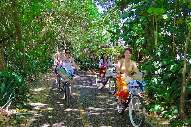 Ko Olina to North Shore Experience -Waimea Falls, Beaches & more - Sharks Cove snorkeling: why this marine sanctuary stop is worth the time