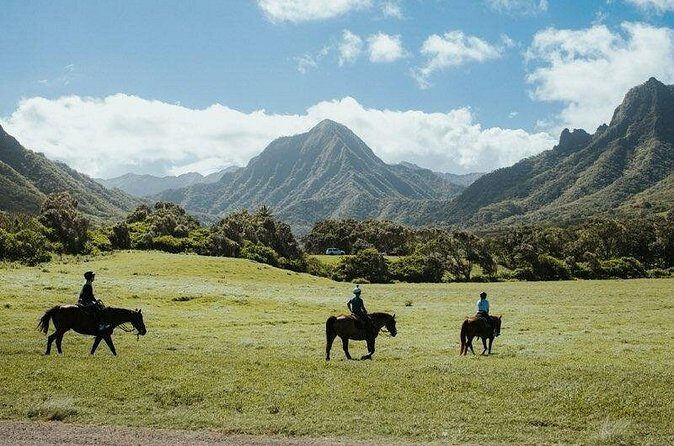 Kualoa Ranch - Horseback Walking Tour - Price and value: is $173.74 worth it for 2 hours?