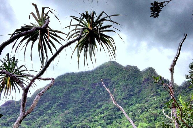 Kualoa Ranch: Novice E-Bike - Safety briefing and the mountain-bike skill test