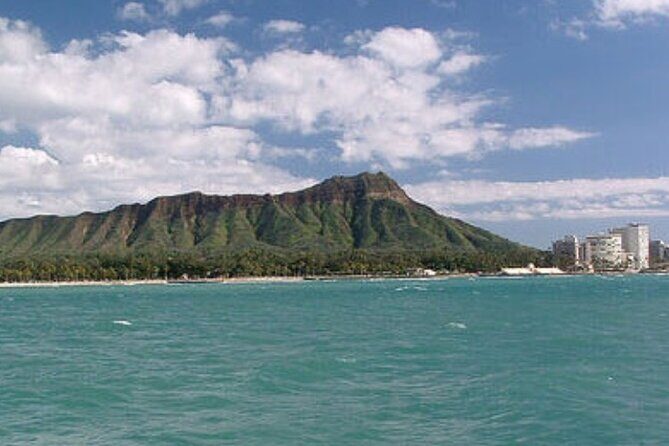 Late Breakfast Cruise in Honolulu - Whales, dolphins, and turtles: how to set your expectations