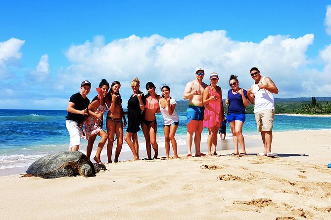 Local Expert Private Tours - Why this private Oahu day feels different from a bus tour