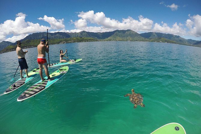 Mahina Hawaii Full Day Adventure - North Shore and sea time: Mokoli’i Island, Banzai Pipeline, Sunset Beach, and Waimea