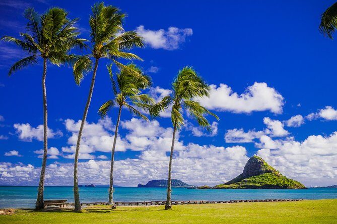 Majestic Circle Island Tour with Lunch - Dole Plantation and Haleiwa drive: pineapple fields and DoleWhip you buy yourself