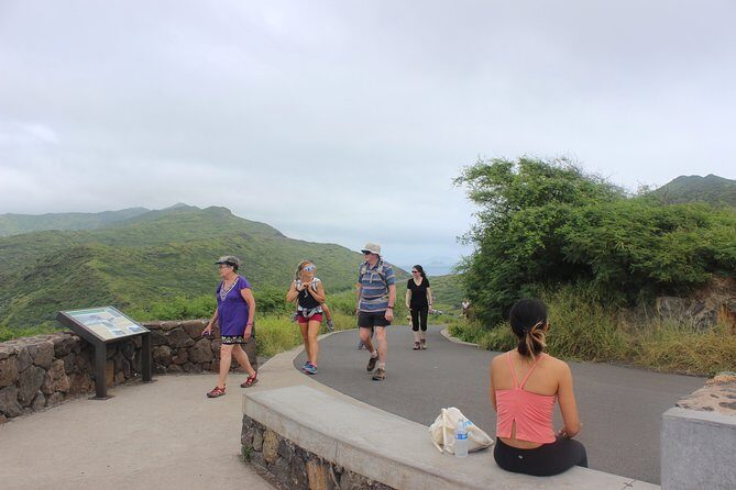 Makapu’u Lighthouse Trail and Shuttle Service - Whale watching from Makapu‘u: the seasonal bonus that can steal the show