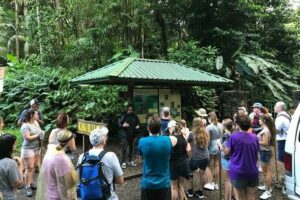 Manoa Falls Rainforest & Self-Guided Hike - Shuttle from Waikiki: the part you’ll actually feel