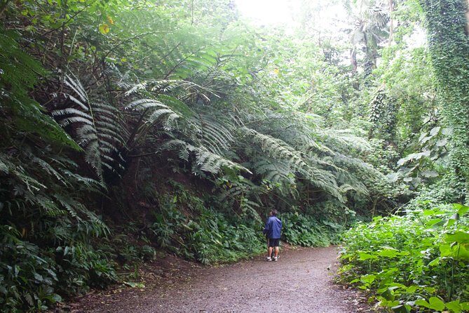Manoa Falls Rainforest & Self-Guided Hike - Waterfall reality check: your top might be thin (or strong)