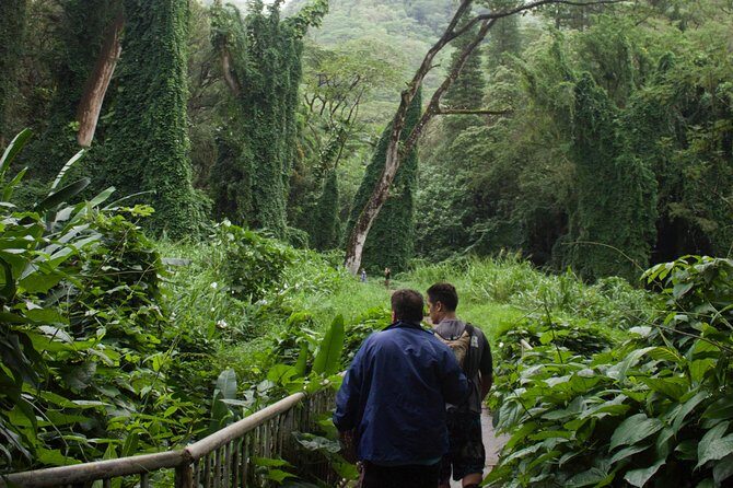 Manoa Falls Rainforest & Self-Guided Hike - Time and pacing: how long you’ll be on the move