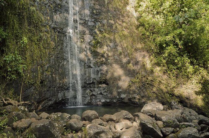 Manoa Waterfall Hike with Waikiki Pickup & Healthy Lunch - Key Points I’d Actually Use Before You Go
