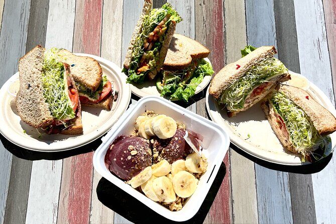Manoa Waterfall Hike with Waikiki Pickup & Healthy Lunch - Manoa Valley Rainforest Hike: What You’re Walking Through