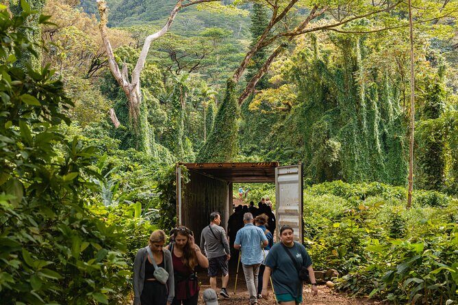 Manoa Waterfall Hike with Waikiki Pickup & Healthy Lunch - Tantalus Lookout Lunch: Healthy Andy’s Sandwiches With Big City Views