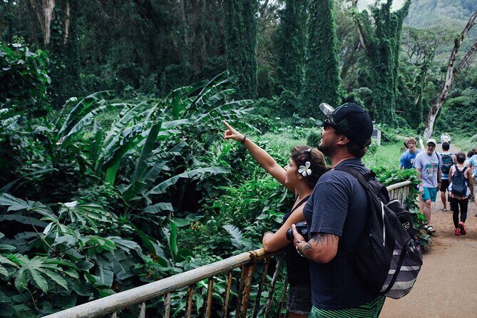 Manoa Waterfall Hike with Waikiki Pickup & Healthy Lunch - Guides Who Make the Walk Feel Like Hawaii, Not Just a Trail