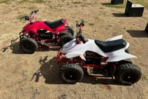 Mini ATVs and Farm Animal Experience - Key things I’d bet on
