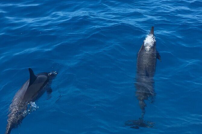 Moana’s VIP Waikiki Turtle Snorkeling Experience on Nalu - Diamond Head State Monument from the water: the scenic payoff before and after