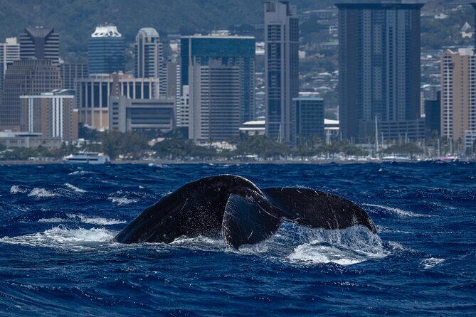 Moana’s Waikīkī Whale Watching Exploration - Diamond Head State Monument: Why That First Stop Matters