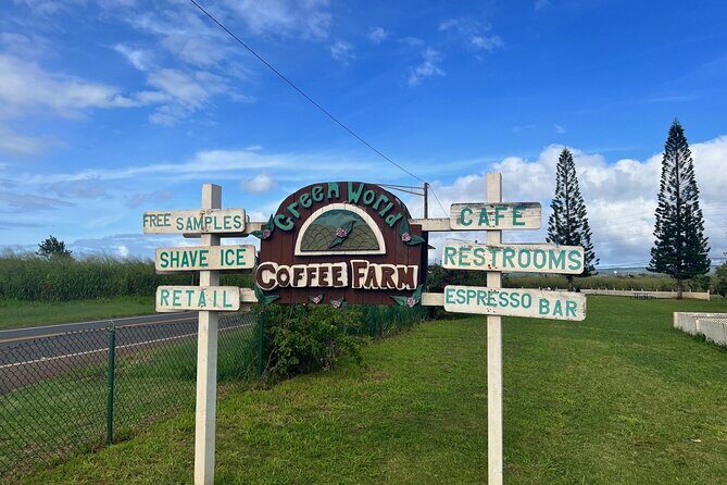 North Shore Dole Pineapple Farm Tour - North Shore Beach Photo Stop: Surf-Spot Views and Wildlife Possibility