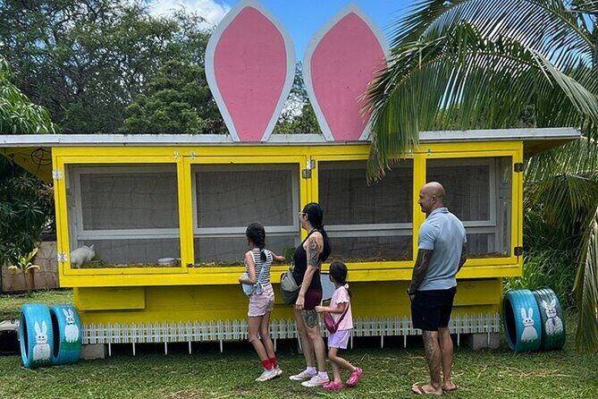North Shore Farm: Anahulu River, Kayak-Sup, Turtles, Lunch & More - North Shore Farm Haleiwa: a morning that mixes water time and farm time