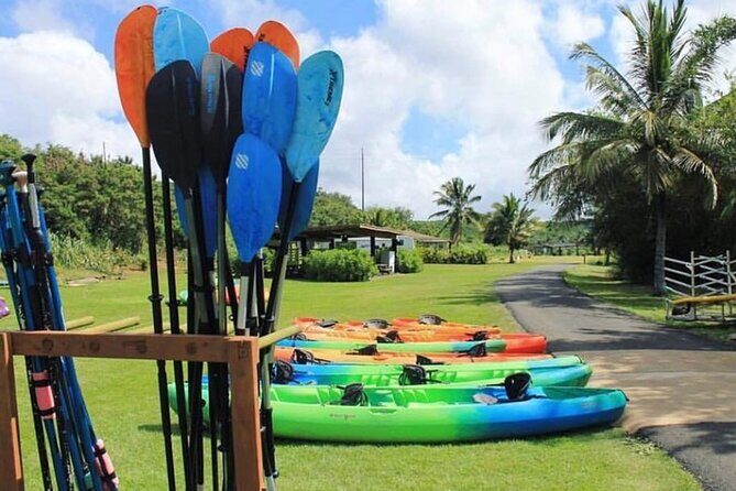 North Shore Farm: Anahulu River, Kayak-Sup, Turtles, Lunch & More - Coming back for lunch: where the food makes the value click