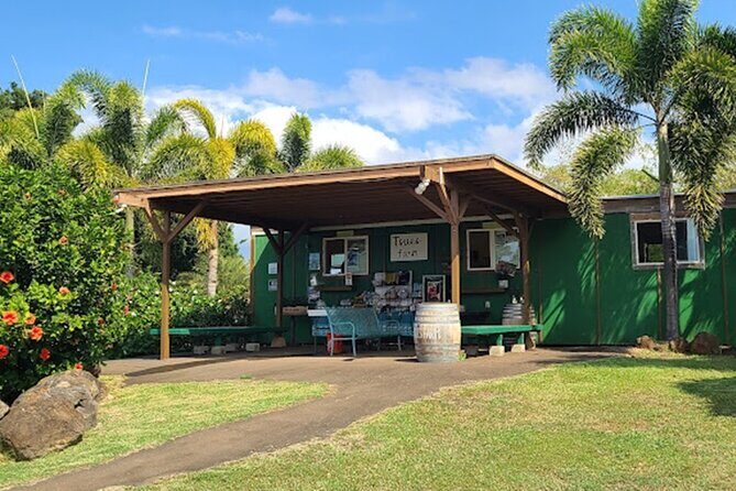 North Shore Farm: Anahulu River, Kayak-Sup, Turtles, Lunch & More - Cooling down: coconuts, açai bowls, smoothies, and shave ice