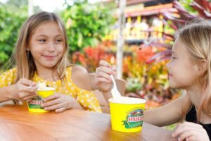 North Shore Haleiwa & Dole Plantation Tour - Stop 1: Dole Plantation with the train and maze timing challenge