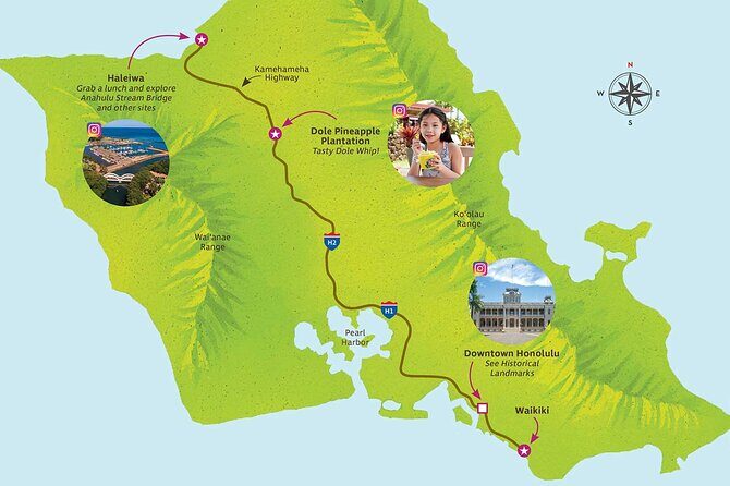 North Shore Haleiwa & Dole Plantation Tour - Who should book this tour (and who might skip it)