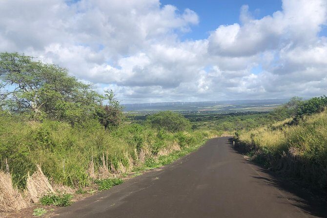 North Shore Tour Guide Hike - Price and Value at $76.93: What’s Included and Why It’s Not Just a Walk