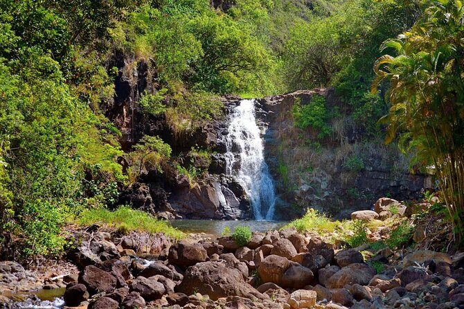 North Shore / Waimea, Falls Day & Swim with Turtles - Key highlights that make this tour worth your time