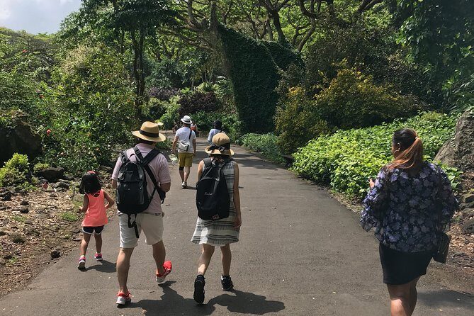 North Shore / Waimea, Falls Day & Swim with Turtles - A North Shore Day Plan That Feels Like Your Own Trip